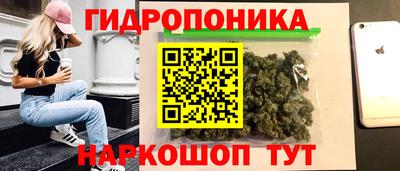дмт Бердск