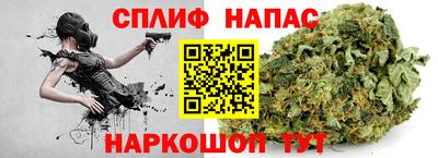 дмт Бердск