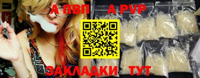 дмт Бердск