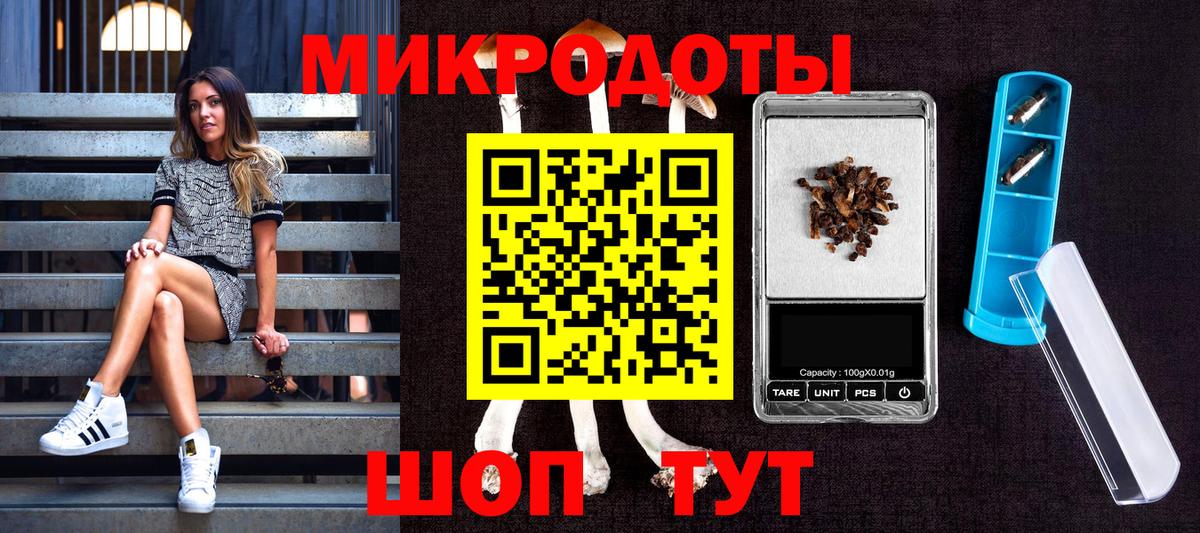 Псилоцибиновые грибы прущие грибы Гулькевичи