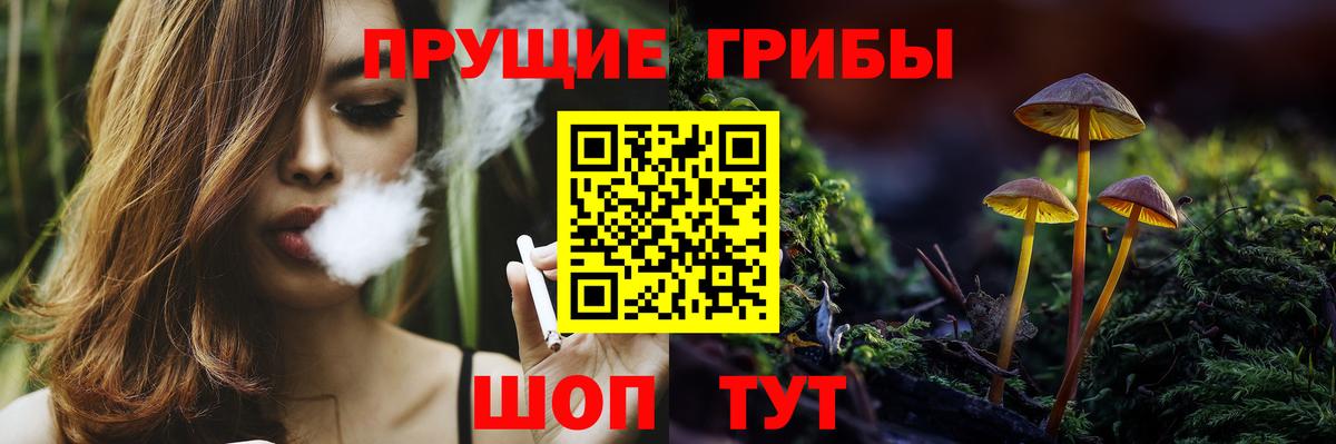 Гулькевичи  Псилоцибиновые грибы MAGIC MUSHROOMS  Галлюциногенные грибы Magic Shrooms  Вход с VPN 
